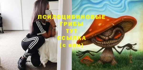 apvp Бугульма